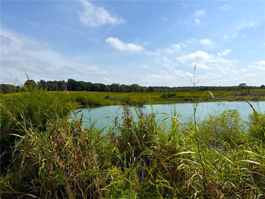 17688 Golden Road Property Photo 82