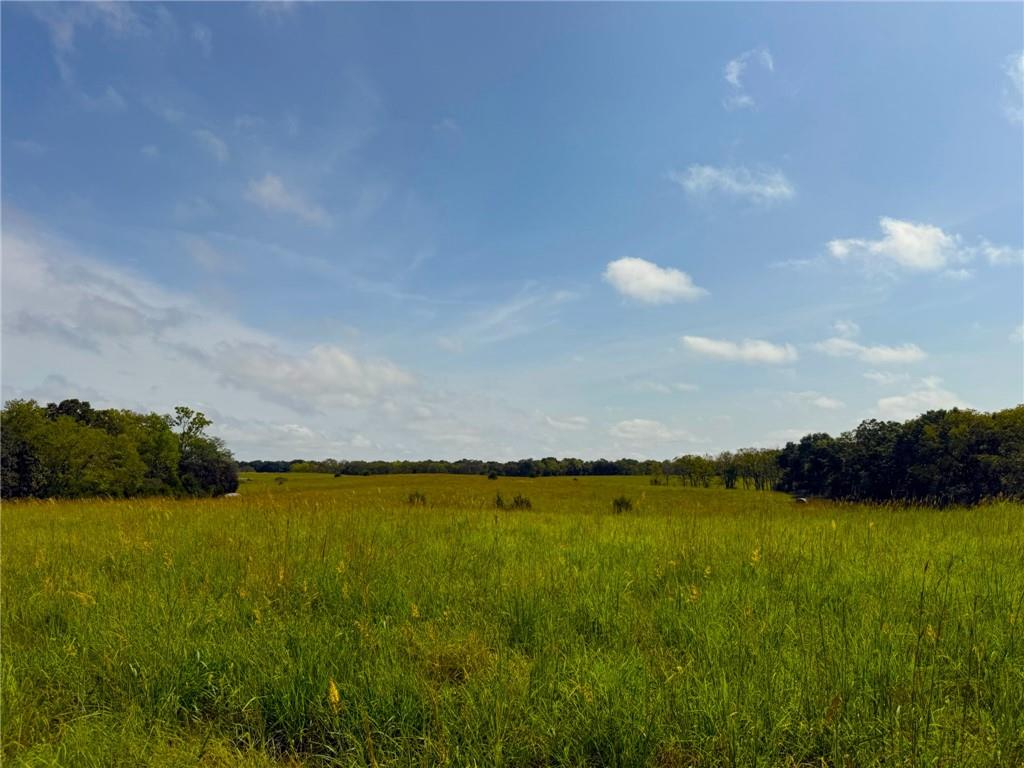 17688 Golden Road Property Photo 83