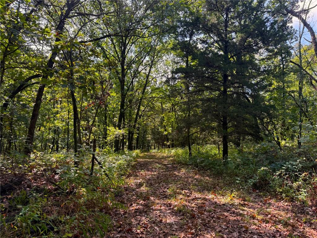 17688 Golden Road Property Photo 84