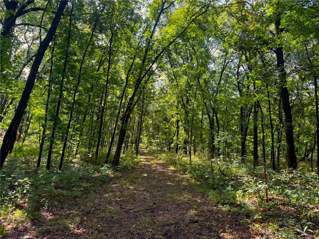 17688 Golden Road Property Photo 85