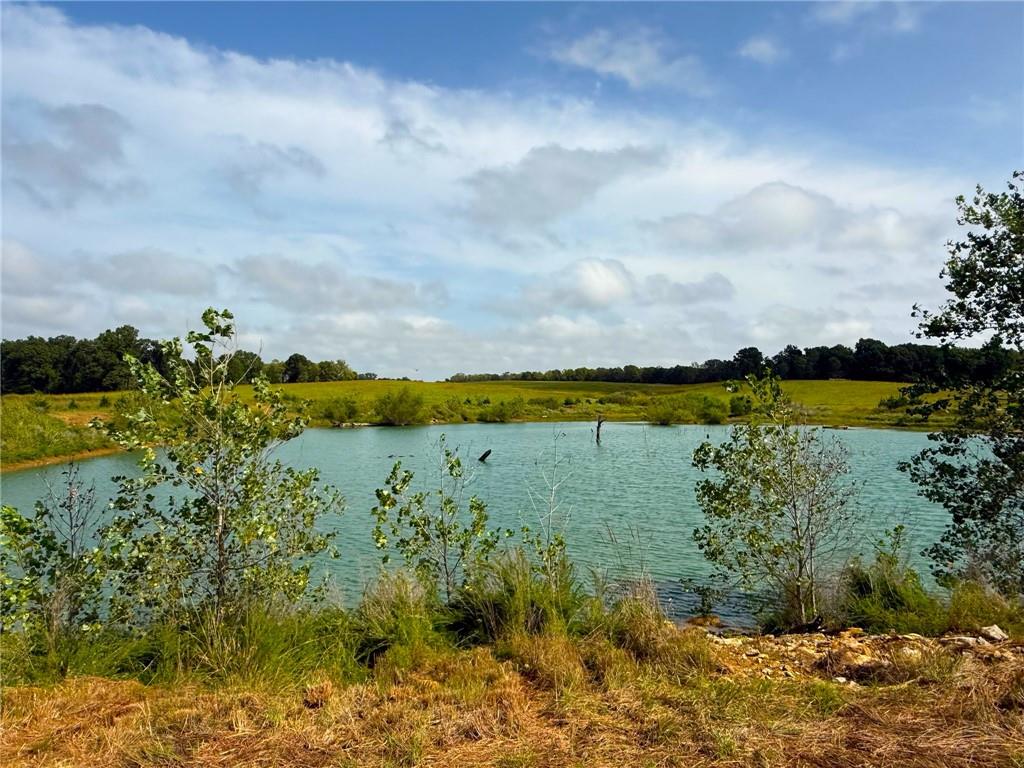 17688 Golden Road Property Photo 92