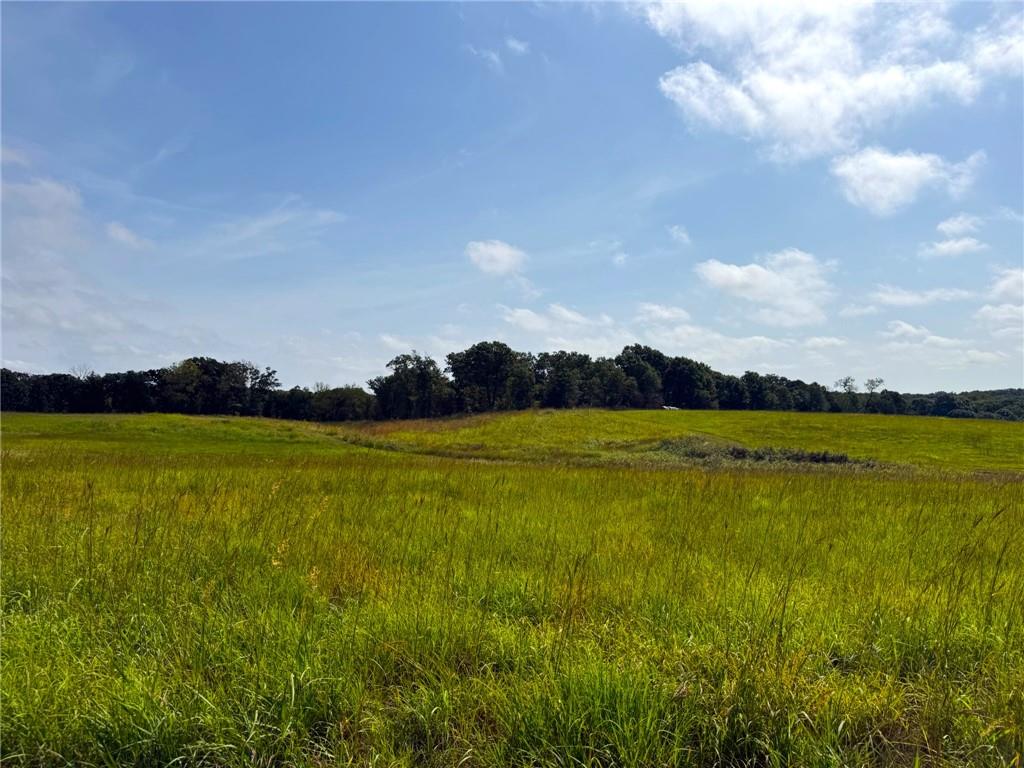 17688 Golden Road Property Photo 93