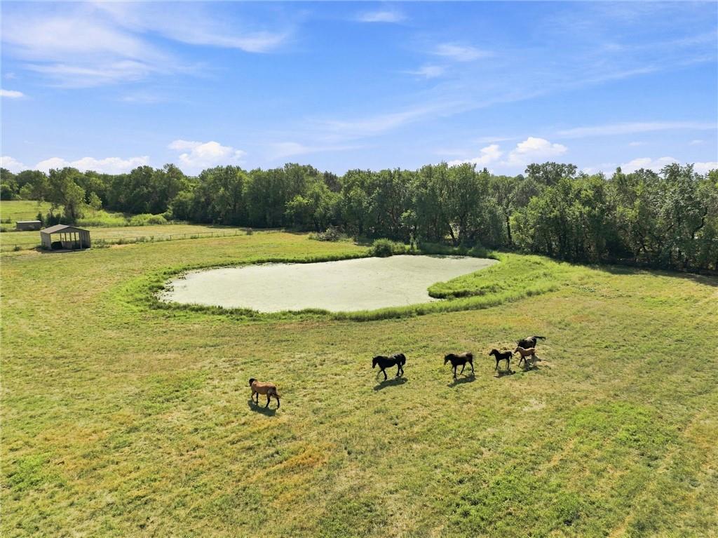 27611 S Belle Plain Road Property Photo 3