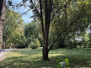 6127 - 6129 Tracy Avenue Property Photo 5