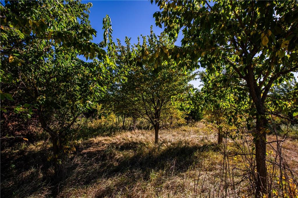 1771 Old Us 50 Highway Property Photo 10