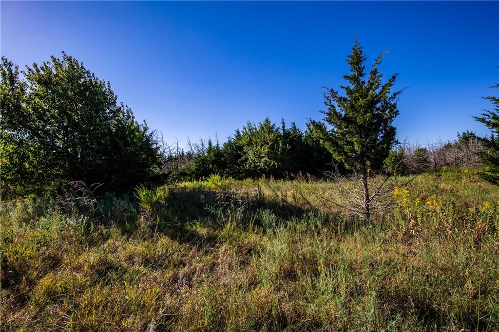 1771 Old Us 50 Highway Property Photo 11