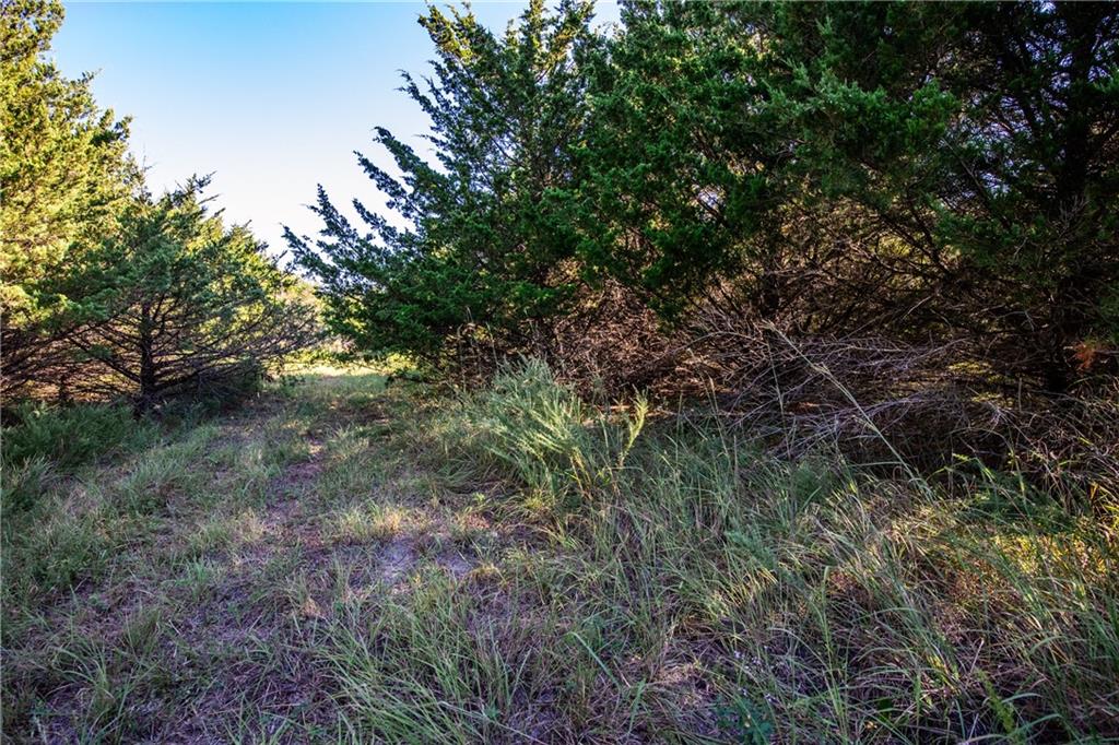 1771 Old Us 50 Highway Property Photo 15