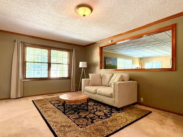2904 Belle Haven Drive Property Photo 6
