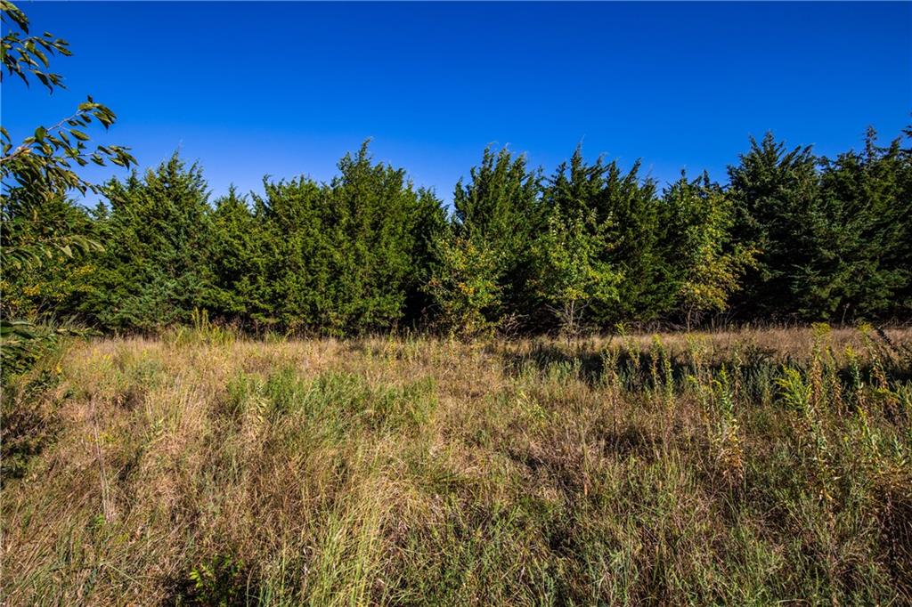 1773 Old Us 50 Highway Property Photo 3