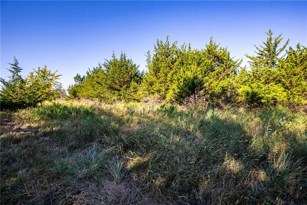 1773 Old Us 50 Highway Property Photo 4