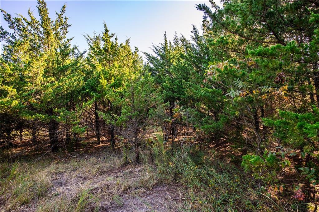 1773 Old Us 50 Highway Property Photo 6