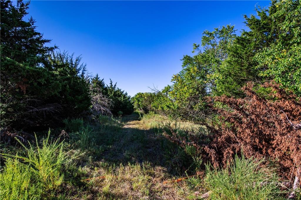 1773 Old Us 50 Highway Property Photo 8
