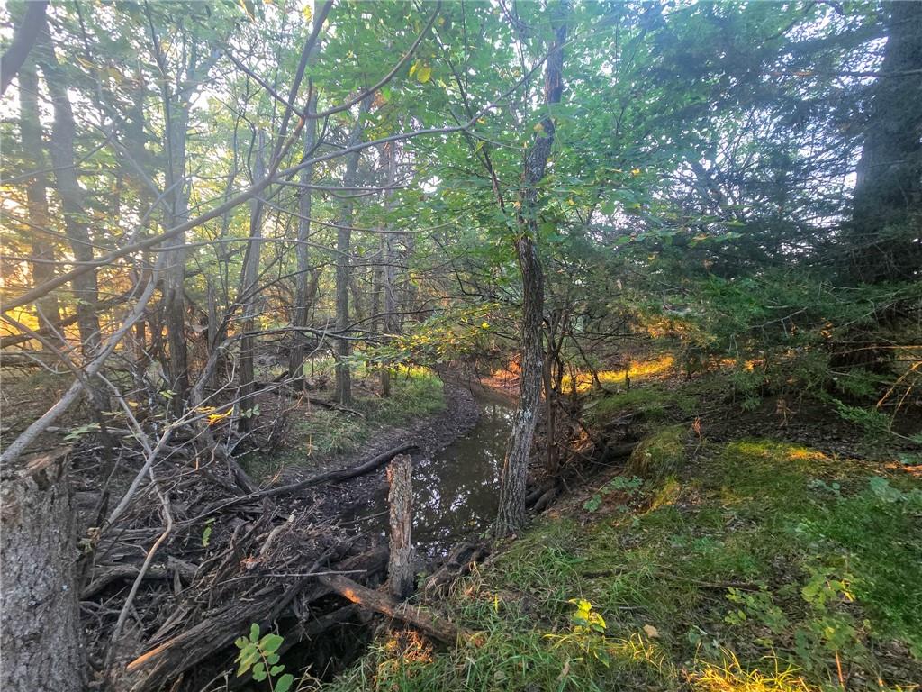 4 Highway Property Photo 3