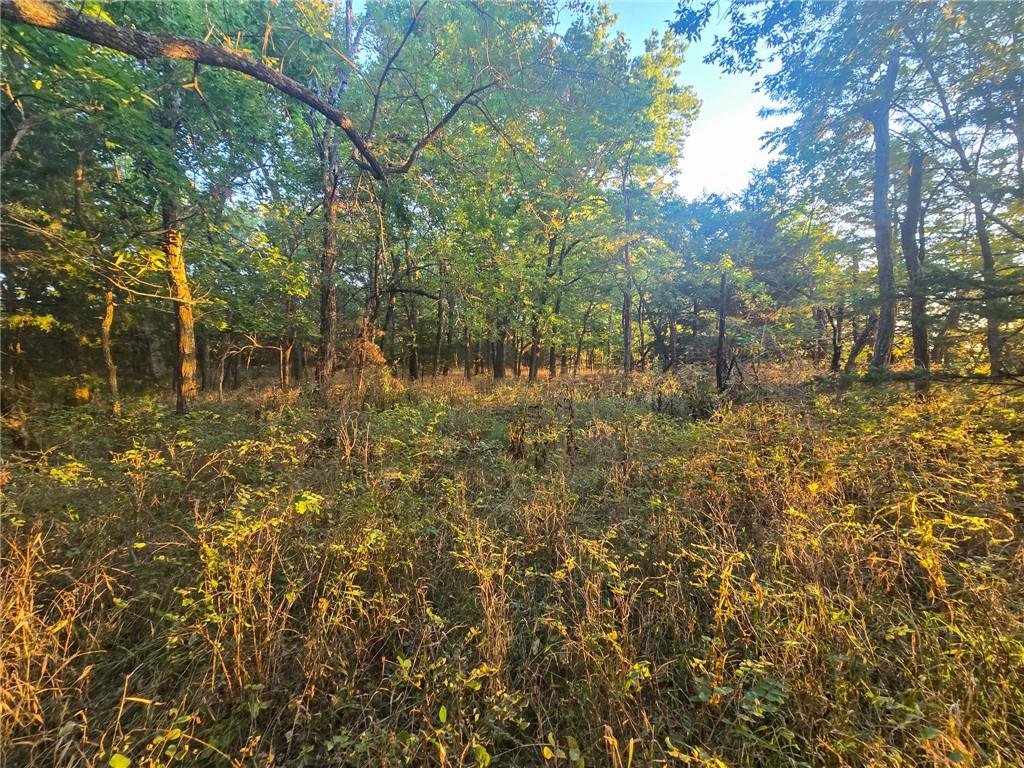4 Highway Property Photo 6