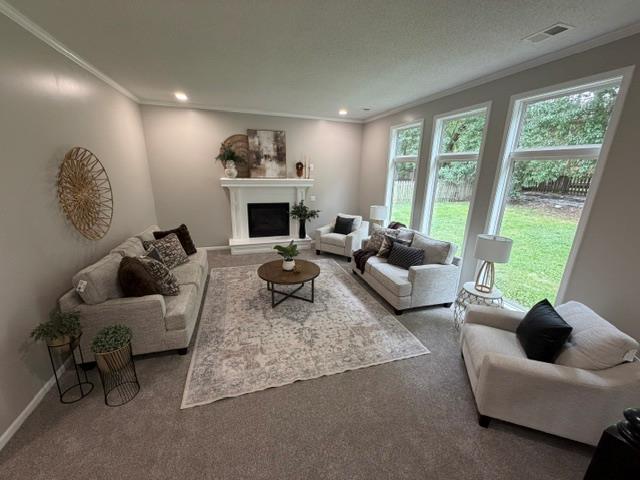 421 Stacey Drive Property Photo 13