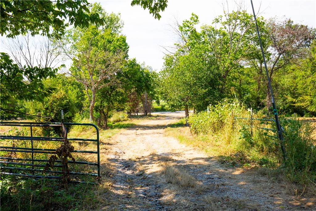 15625 Washington School Road Property Photo 45