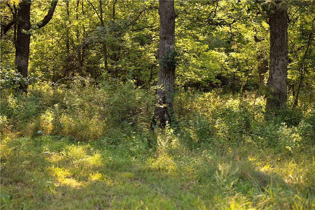 30488 150th Avenue Property Photo 44
