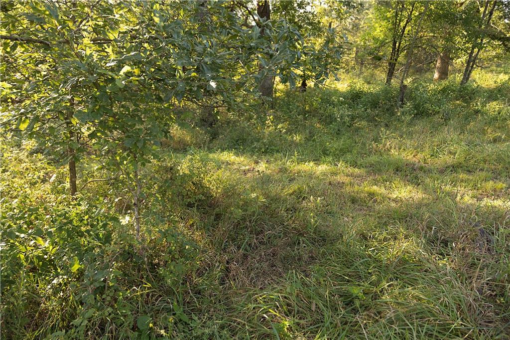 30488 150th Avenue Property Photo 50