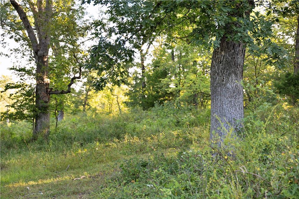 30488 150th Avenue Property Photo 53