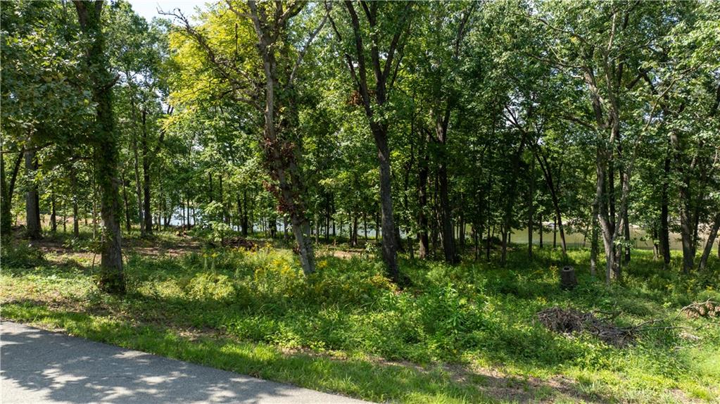 1040 S Fork Lane Property Photo 4