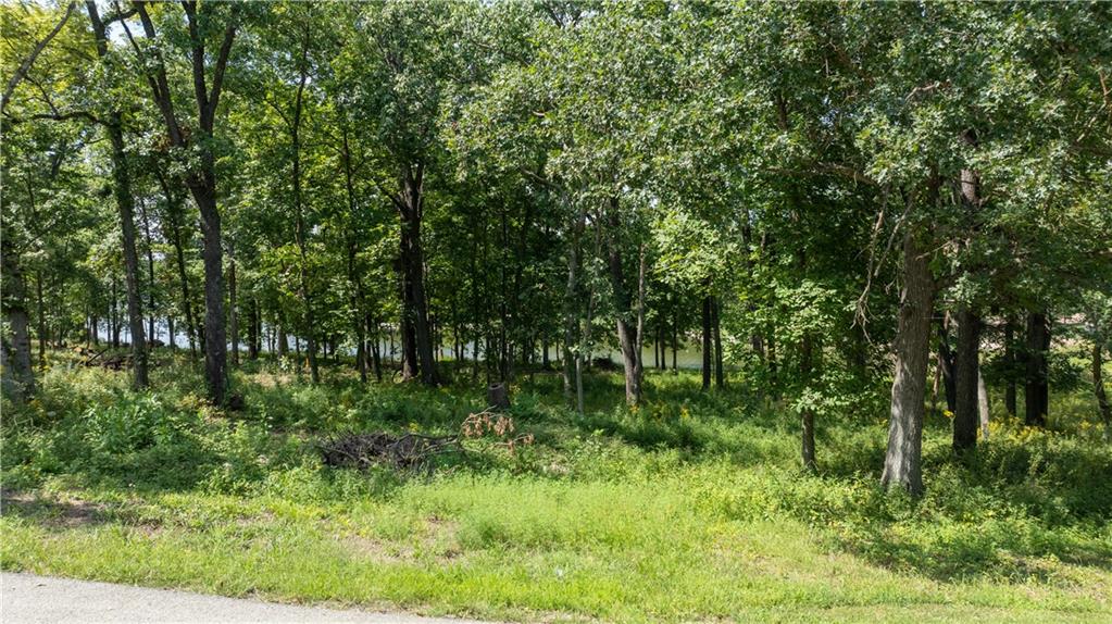 1040 S Fork Lane Property Photo 5