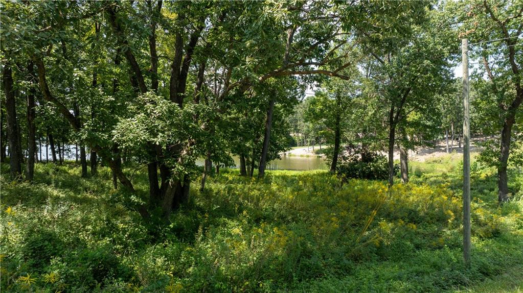 1040 S Fork Lane Property Photo 8
