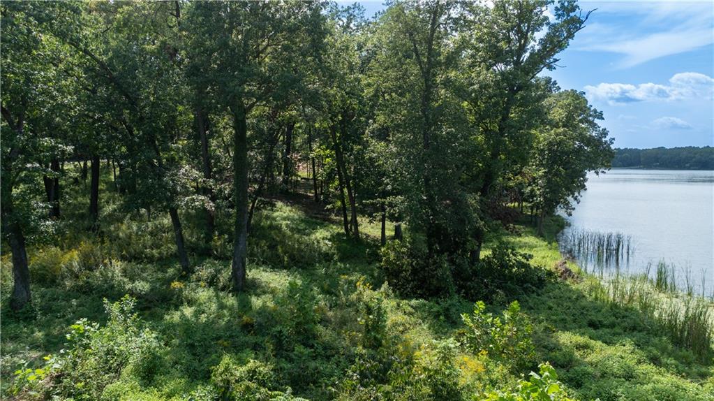 1040 S Fork Lane Property Photo 12