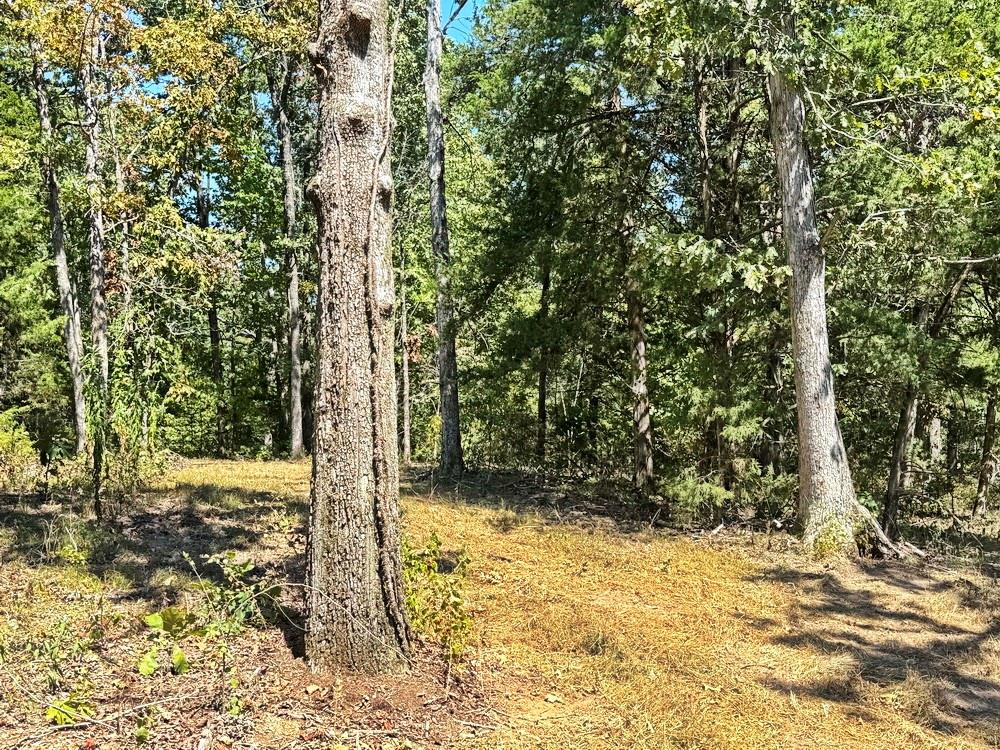 000 Se 500 Road Property Photo 7