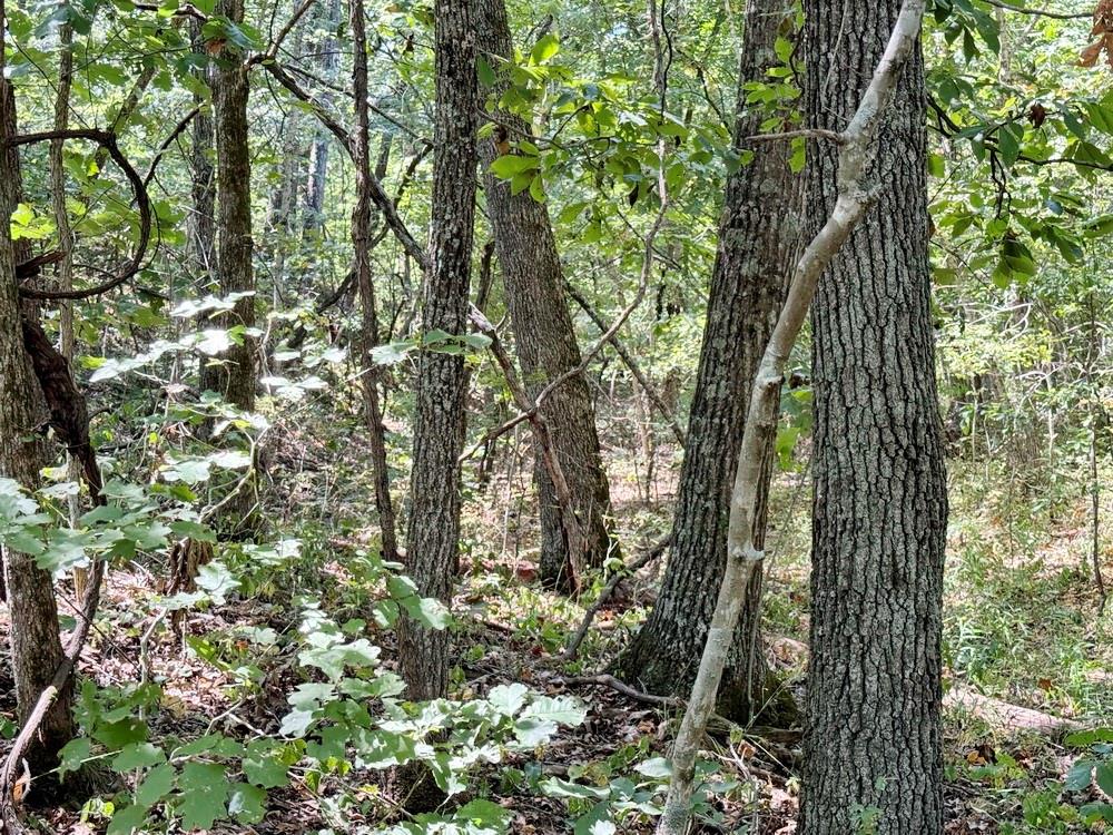 000 Se 500 Road Property Photo 13