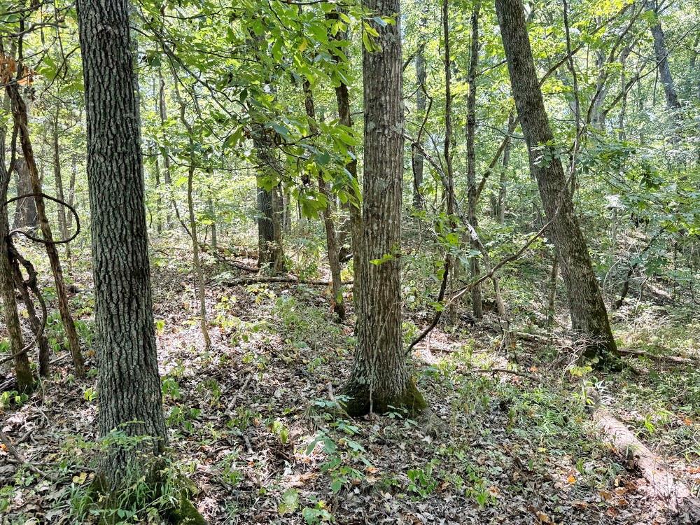 000 Se 500 Road Property Photo 14