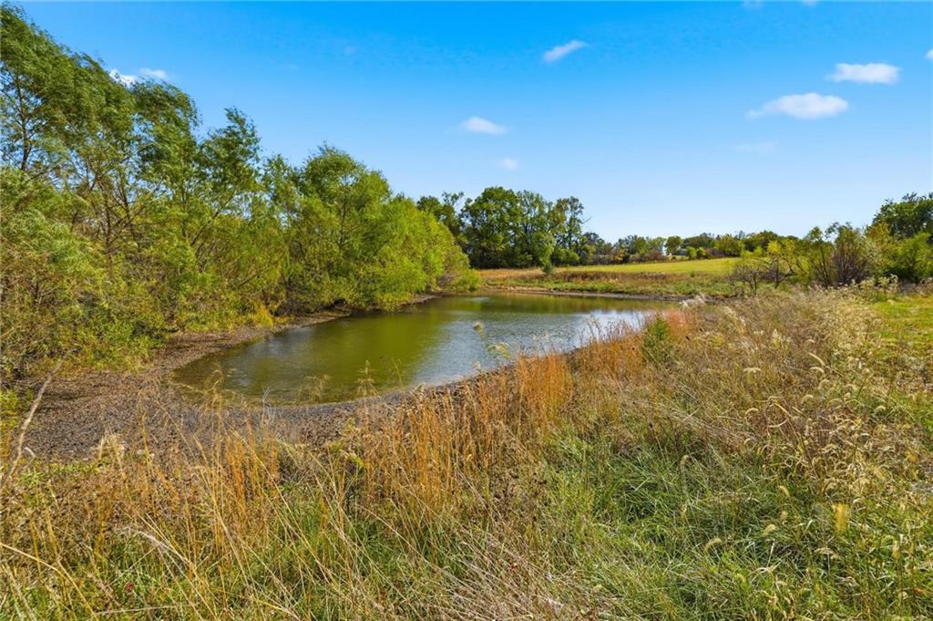 32705 South 7 Highway Road Property Photo 7