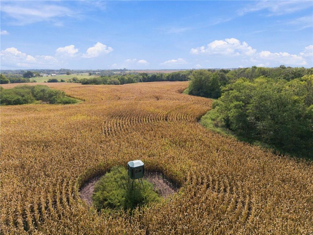 21492 County Road 194 N/a Property Photo 1