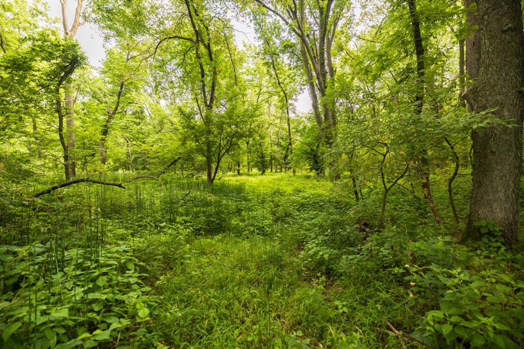 Nw 188th Street Property Photo 49