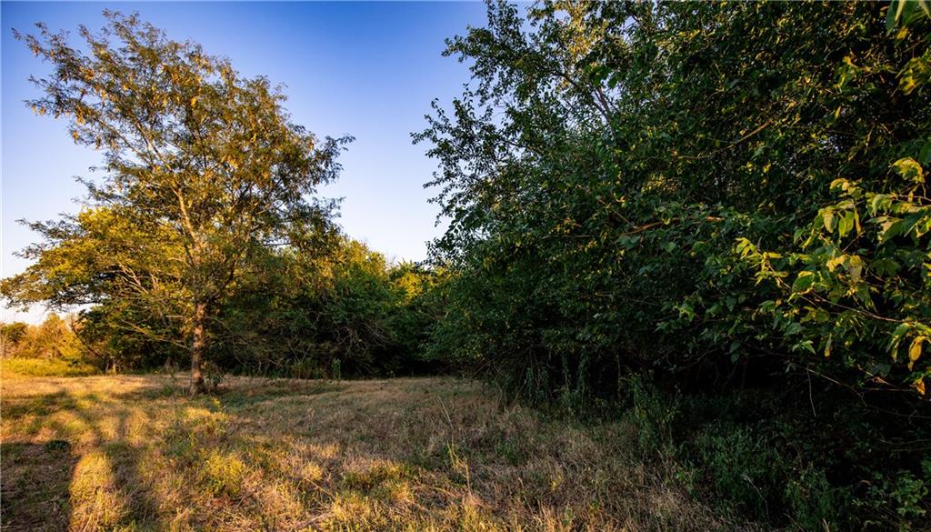 1124 Xavier Road Property Photo 13