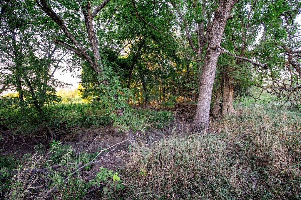 1124 Xavier Road Property Photo 26