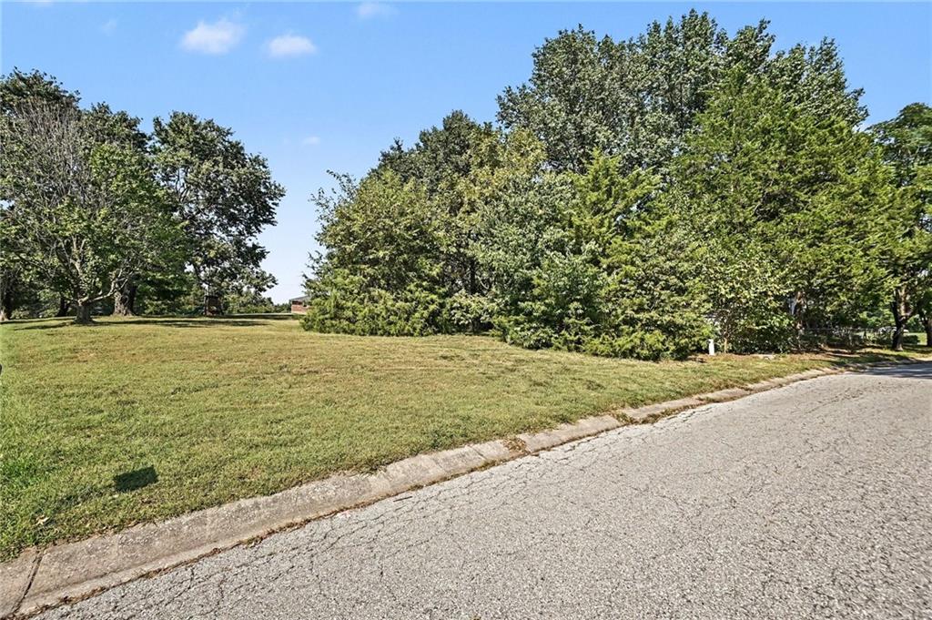 00 Maple Drive Property Photo 7