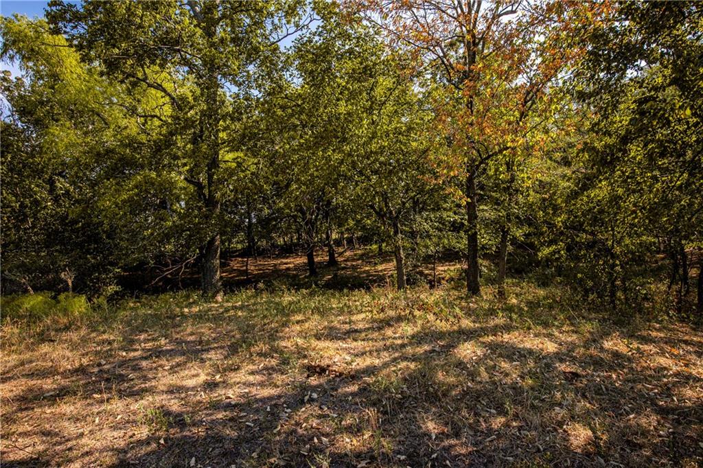 2243 Tomahawk Road Property Photo 57