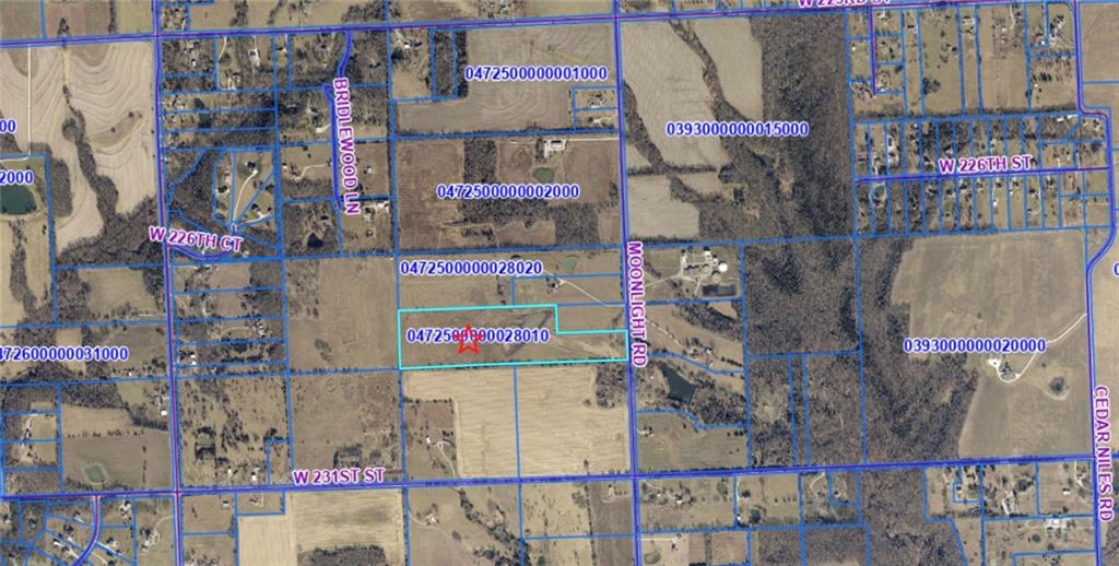 Moonlight (34+/- Acres) Road Property Photo 5