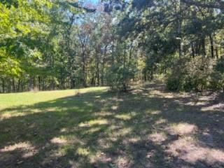 31379 Mclaughlin Avenue Property Photo 4