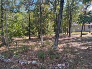 31379 Mclaughlin Avenue Property Photo 5
