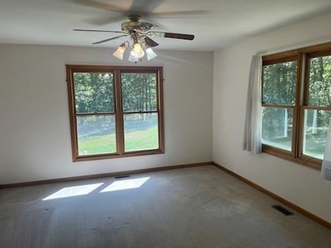 31379 Mclaughlin Avenue Property Photo 14