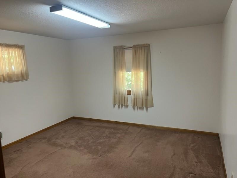 31379 Mclaughlin Avenue Property Photo 22