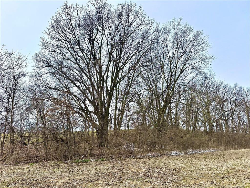 Nw 401 Road Property Photo 4