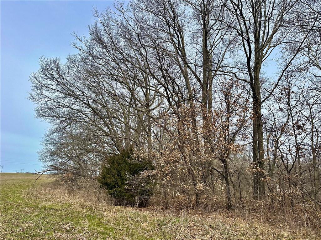 Nw 401 Road Property Photo 7
