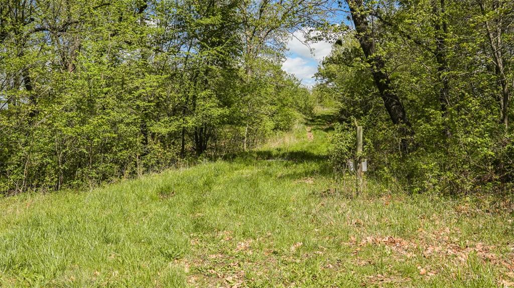 Knox Road Property Photo 5