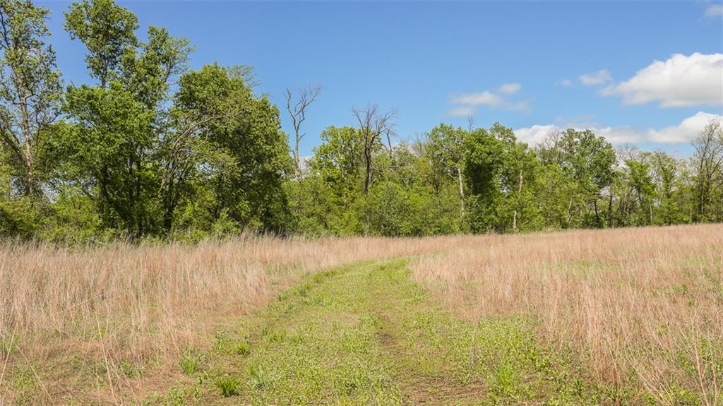 Knox Road Property Photo 15