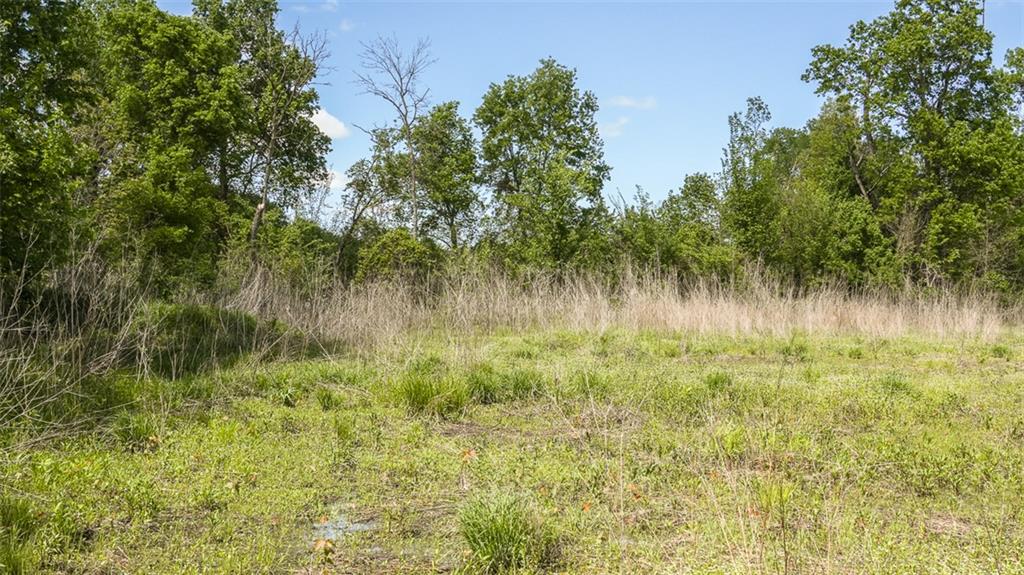 Knox Road Property Photo 17