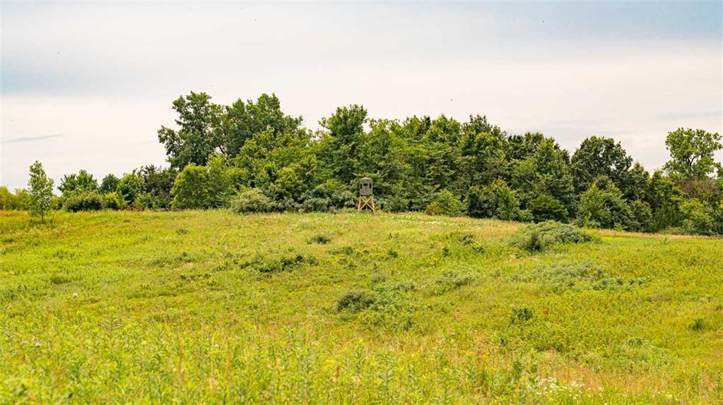 Z Highway Property Photo 12