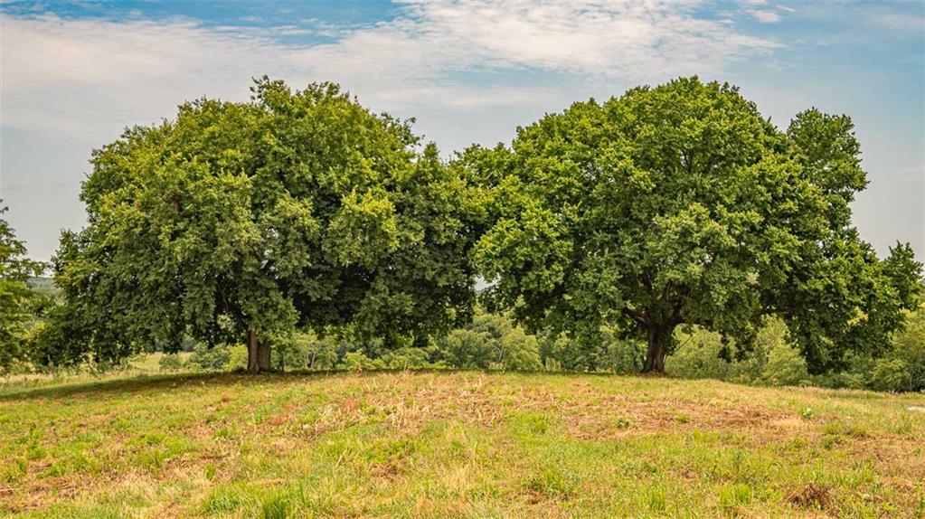 Z Highway Property Photo 23