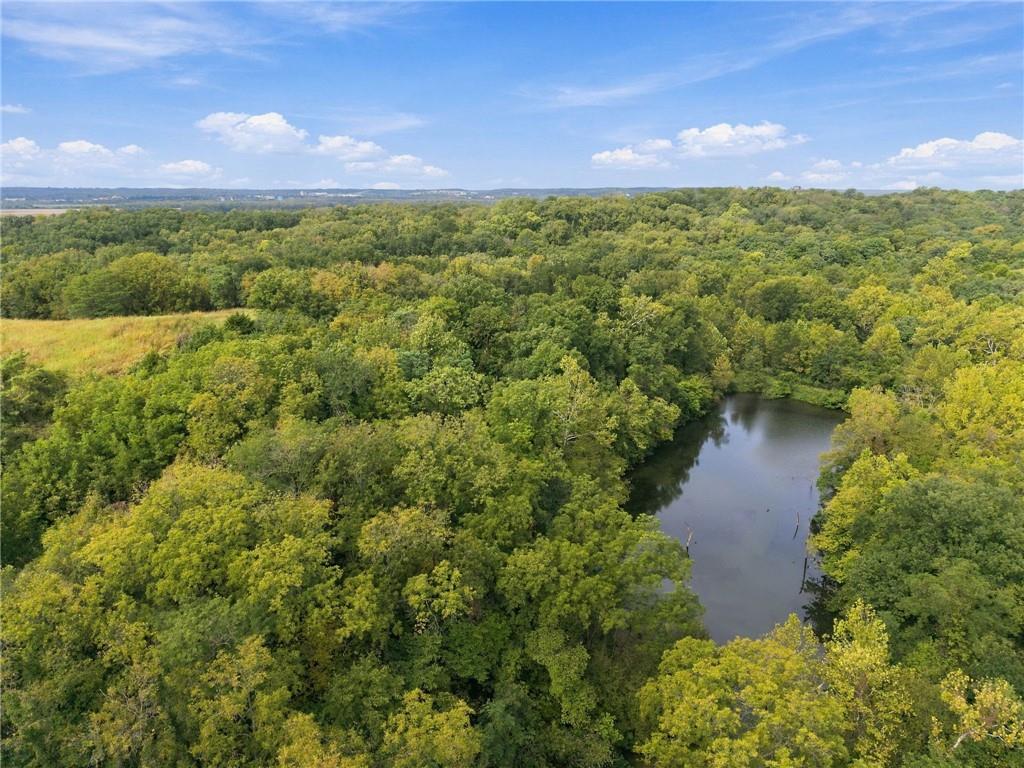 Lot 1 Dowling Lane Property Photo 2